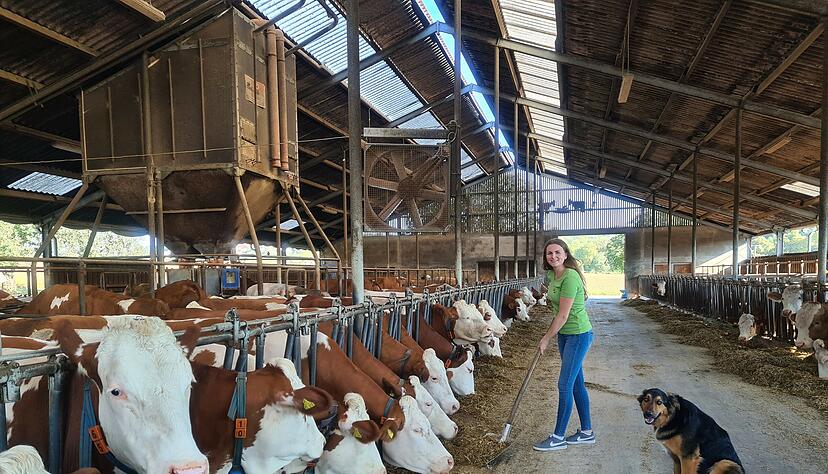 Landleben pur: Familie Carle in Z&uuml;ttlingen bindet ihre G&auml;ste in das landwirtschaftliche Leben ein. Sarah Carle (21) f&uuml;ttert die K&uuml;he, Hofhund Willy ist &uuml;berall mit dabei.
Foto: privat