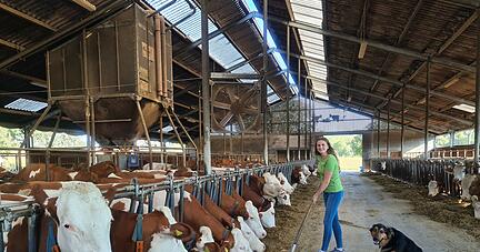 Landleben pur: Familie Carle in Z&uuml;ttlingen bindet ihre G&auml;ste in das landwirtschaftliche Leben ein. Sarah Carle (21) f&uuml;ttert die K&uuml;he, Hofhund Willy ist &uuml;berall mit dabei.
Foto: privat