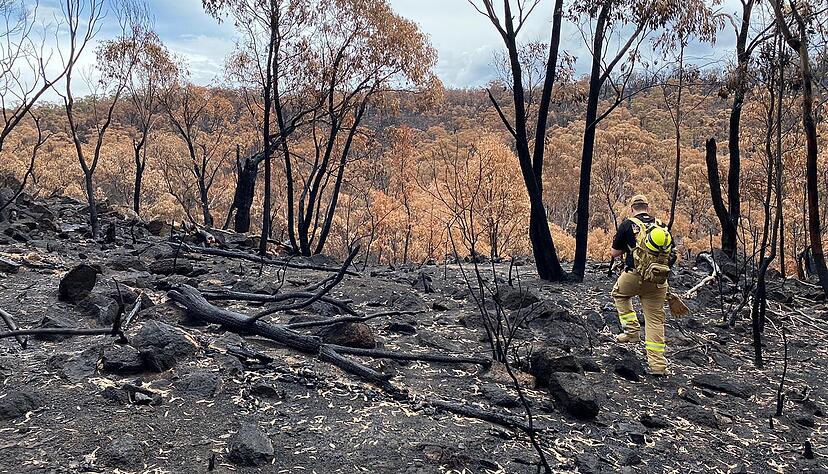 Die Szenerie im Katastrophengebiet: überall verbrannte, verkohlte Erde. Franke sucht dieses Gebiet nach überlebenden Tieren ab, findet vorgestern aber nur tote. Die Szenerie im Katastrophengebiet: überall verbrannte, verkohlte Erde. Franke sucht dieses Gebiet nach überlebenden Tieren ab, findet vorgestern aber nur tote.
