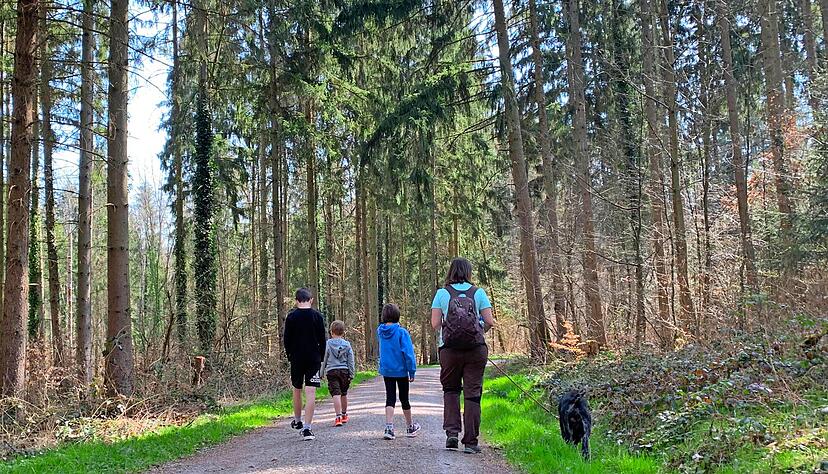 Valentin, Gabriel, Karolina, Barbara Huber und ihr Jagdhund Putin gehen am Schweinshag auf Entdeckertour. An sieben Standorten im Landkreis Heilbronn hat das Waldnetzwerk Spazierg&auml;nge mit jeweils acht Stationen ausgewiesen.
Fotos: Plapp-Schirmer