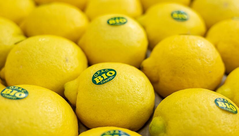 Bei vielen Verbrauchern sind Bio-Lebensmittel beliebt. (Symbolbild)