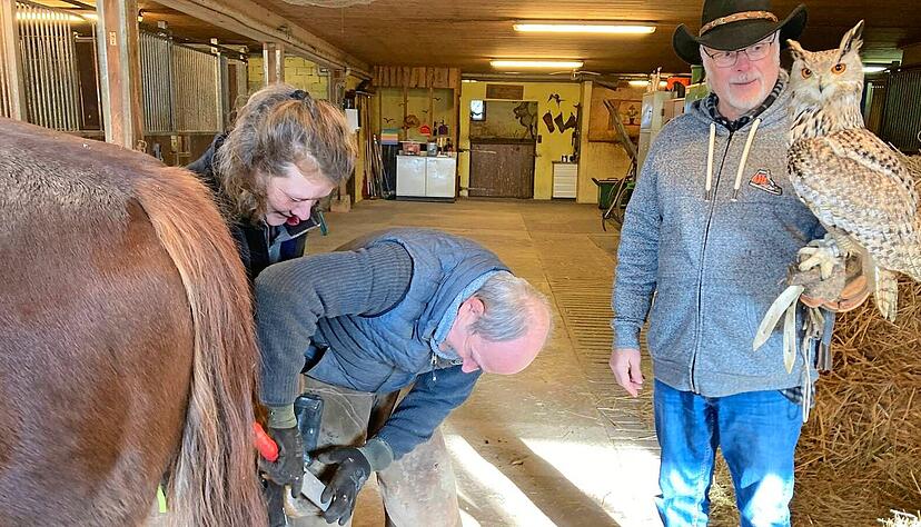 G&uuml;nter Schwandner tr&auml;gt den Sibirischen Uhu Buddy ins Freie, w&auml;hrend Hufschmied Andreas Steinbach aus Obergimpern mit Helferin Bettina Haas ein Quarterhorse beschl&auml;gt.
Foto: J&ouml;rg K&uuml;hl