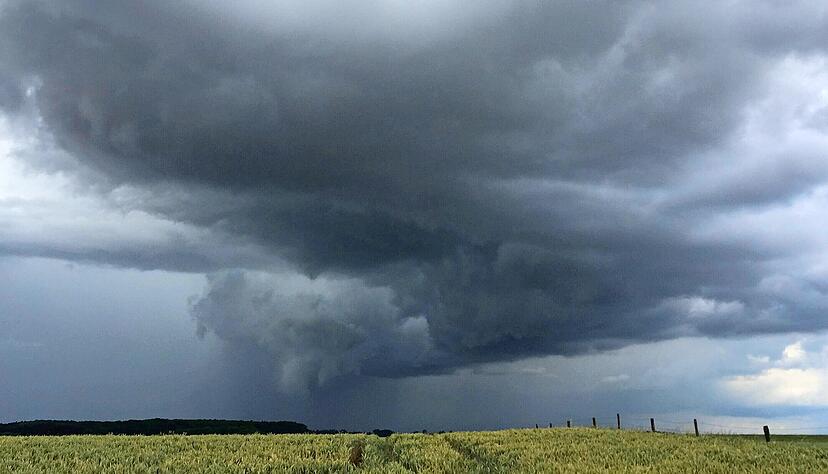 Strenge Auflagen, sinkende Preise, steigende Kosten, gewachsene Anspr&uuml;che, famili&auml;re Konflikte: Es kann sich viel zusammenbrauen &uuml;ber gestressten Landwirten.