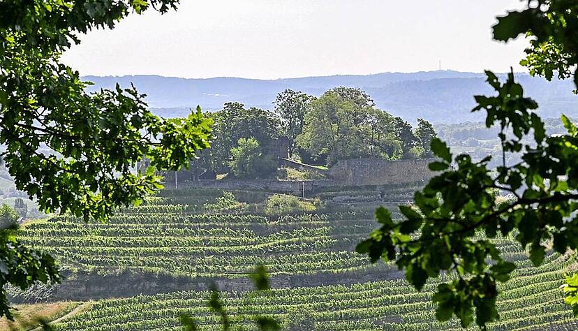 Die Burgruine Weibertreu ist Namensgeberin f&uuml;r das gro&szlig;e, bunte Fest, das am zweiten Mai-Wochenende in Weinsberg gefeiert wird.