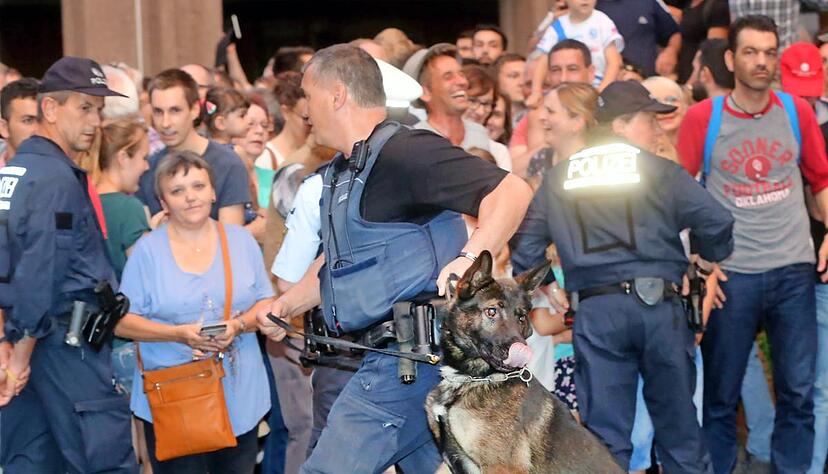100 Einsatzkräfte bot die Polizei auf. Mit dabei: die Hundestaffel.
