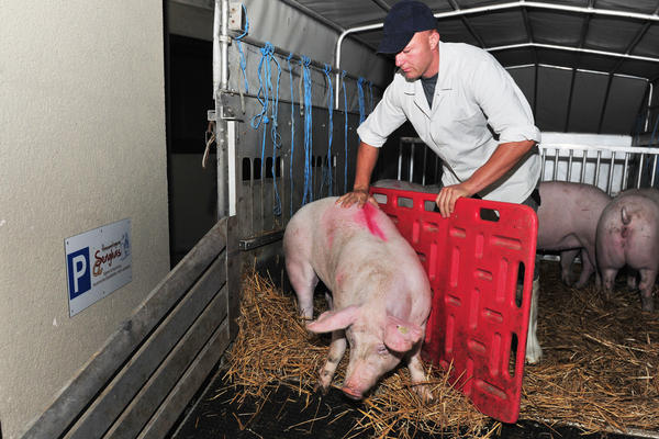 Hausschlachtung | 04.10. Hausschlachtung | 04.10.