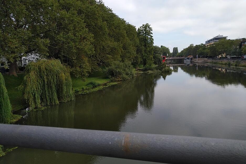 Baum kippt in den Neckar