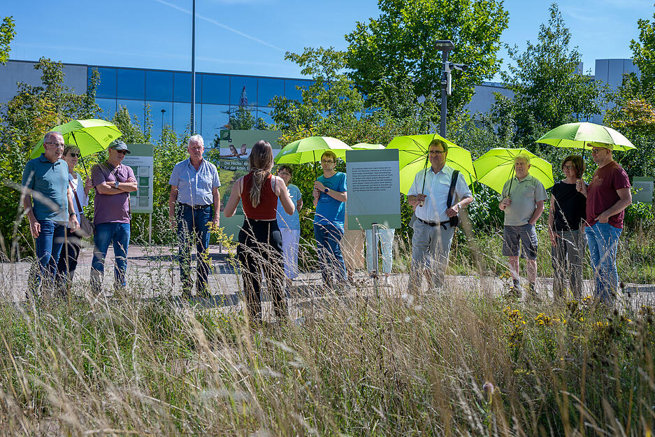 Die Magerwiese in der Klima-Arena zeigt, wie Artenvielfalt Insekten und V&ouml;gel anzieht.