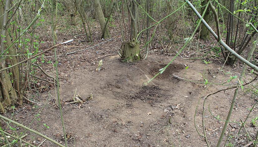 Leichenfund bei Neuenstadt Leichenfund bei Neuenstadt