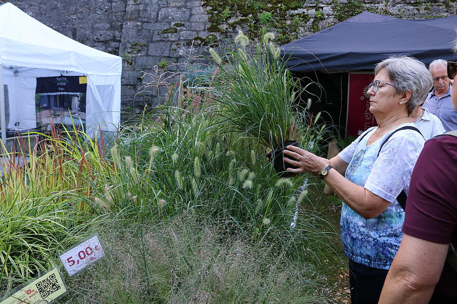 Fürstliche Gartentage in Langenburg 2023