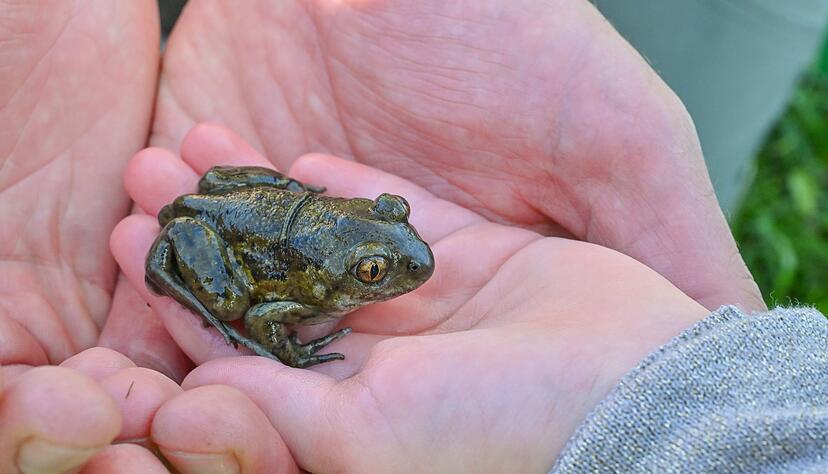 Das Bewusstsein, selbst etwas tun zu k&ouml;nnen. (Symbolbild)