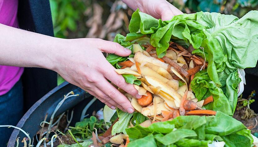 Wie man die Biotonne richtig befüllt und was bei Hitze zu beachten ist, darüber hat die Abfallwirtschaft die Bürger seit der Einführung 2016 vielfach informiert.
Foto: dpa