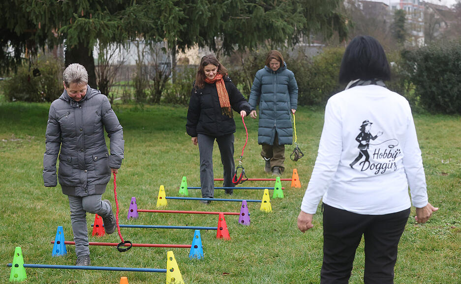 Hobby Dogging schafft eine stabile Basis für eine harmonische Mensch-Hund-Beziehung in Bad Friedrichshall.