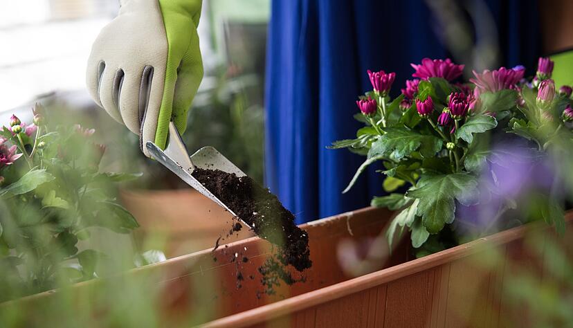 Was genau landet im Balkonkasten? Beim Kauf von Gartenerde sollte man darauf achten, dass sie frei von Torf ist.