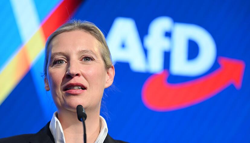 Die AfD-Chefin war als Direktkandidatin im Bodenseekreis angetreten. Die AfD-Chefin war als Direktkandidatin im Bodenseekreis angetreten.