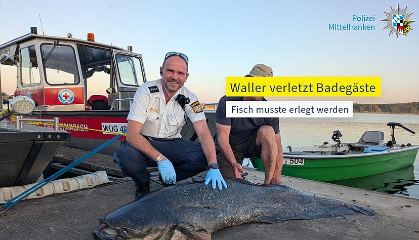 Die Polizei hat ein Foto des erlegten Riesenwels veröffentlicht. Die Polizei hat ein Foto des erlegten Riesenwels veröffentlicht.