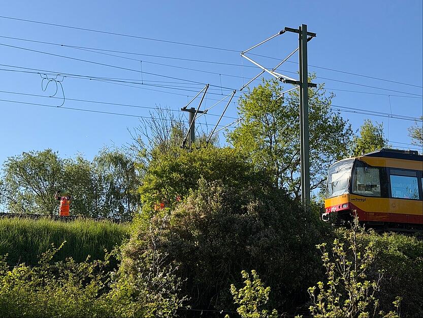 Experten beheben am fr&uuml;hen Mittwochabend den Schaden, den ein umgest&uuml;rzter Baum auf der Stadtbahnstrecke bei Bretzfeld verursacht hat.