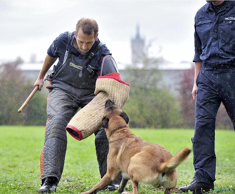 Polizeihundstaffel Offenau Polizeihundstaffel Offenau
