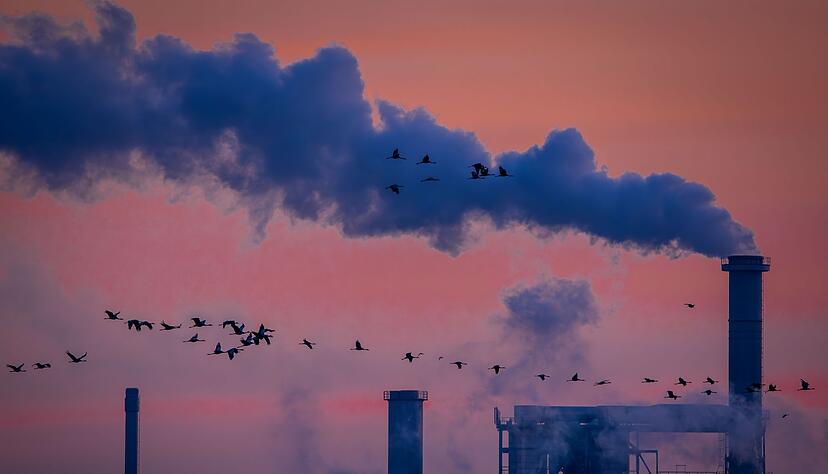 Die deutsche Industrie hat 2025 Umsatz eingebüßt (Archivbild) Die deutsche Industrie hat 2025 Umsatz eingebüßt (Archivbild)