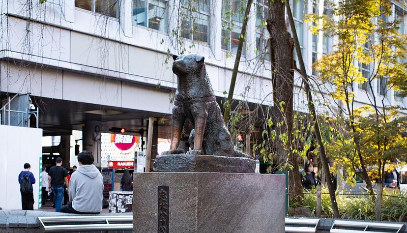 Die Hachiko-Statue am Bahnhof Shibuya in Japans Hauptstadt Tokio.