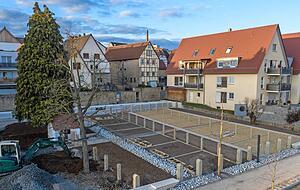 Derzeit werden die historischen Gärten zwischen dem Bachwegle und der Leiergasse bepflanzt.