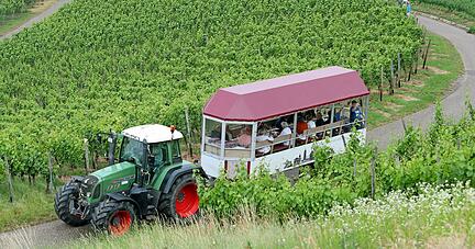 Fahrten mit dem Planwagen unter anderem durch Weinberge gehören zum festen Bestandteil des Tourismusangebots im Raum Neckar-Zaber.
Foto: Archiv/Veigel