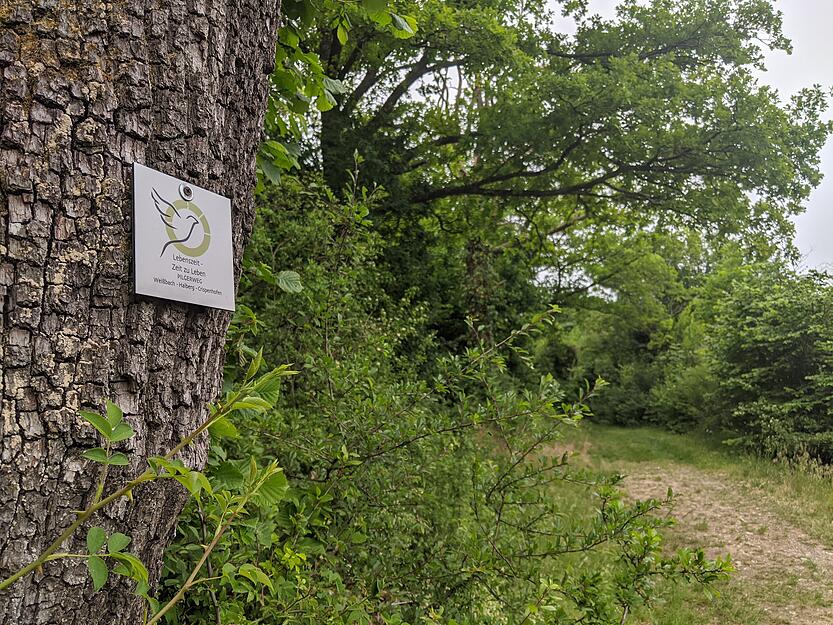 Pilgerweg zwischen Weißbach und Crispenhofen Pilgerweg zwischen Weißbach und Crispenhofen