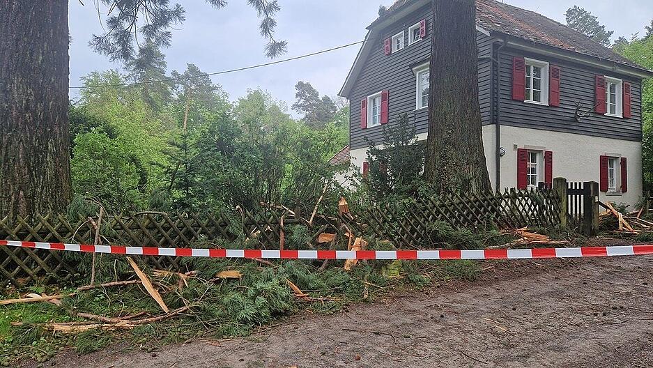 Ein Blitz ist in Stuttgart in einen Baum eingeschlagen. Dieser drohte deshalb auf das Haus zu kippen.