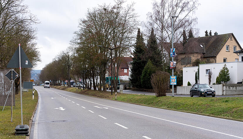 Alleen, wie hier in der L&ouml;wensteiner Stra&szlig;e, sollen geschlossen werden. Weitere Baumpflanzungen im F&ouml;rderprogramm sind am Sportcentrum, in G&auml;nswiesen, in der Sulm-, Michelbach- und Silbergrubenstra&szlig;e sowie am Fu&szlig;weg zur Realschule vorgesehen.