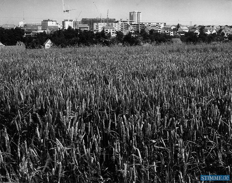 Zusammengestellt von Archiv und Dokumentation der Heilbronner Stimme

18.07.1972:  Auf diesem Ackerland n&ouml;rdlich der Fritz-Ulrich-Schule und &ouml;stlich der Haseltersiedlung in B&ouml;ckingen baut der Landkreis Heilbronn f&uuml;r 35 Millionen Mark ein Berufsschulzentrum.