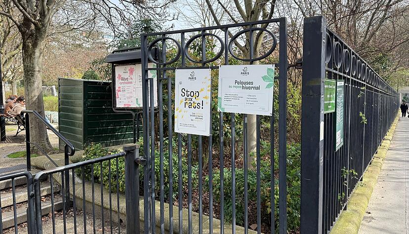 Parkanlagen, unterirdische Sch&auml;chte und die Kanalisation sind bevorzugte Lebensr&auml;ume der Pariser Ratten.