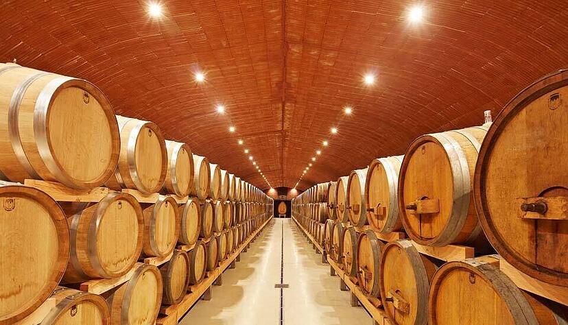 Diesen Gew&ouml;lbekeller hat die Firma Neuschwander im Weingut Ziereisen in Effringen-Kirchen realisiert.