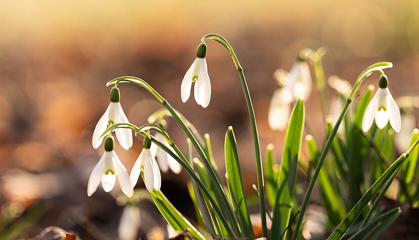 Es bleibt relativ warm, aber im Tagesverlauf k&ouml;nnte es auch Regen geben. (Symbolfoto)