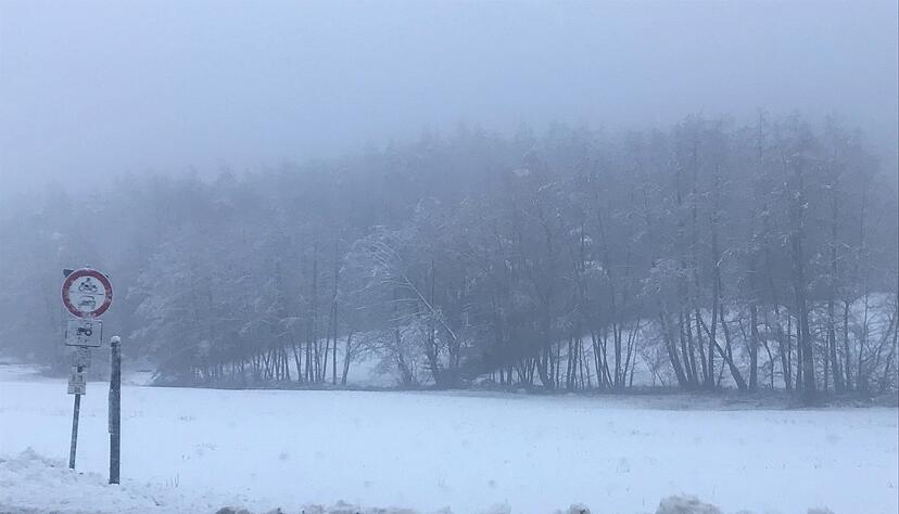 Schnee zu Weihnachten. Foto: privat