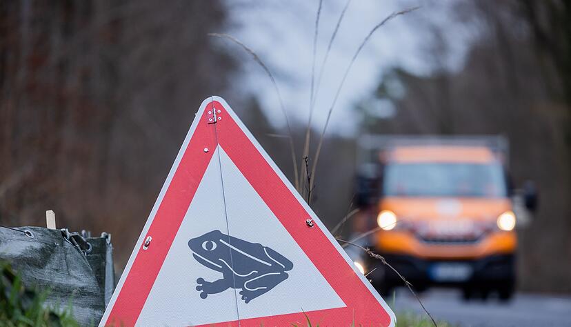 Zum Laichen wandern die Tiere meistens zu dem Gew&auml;sser, in dem sie selbst geboren sind (Archivbild).