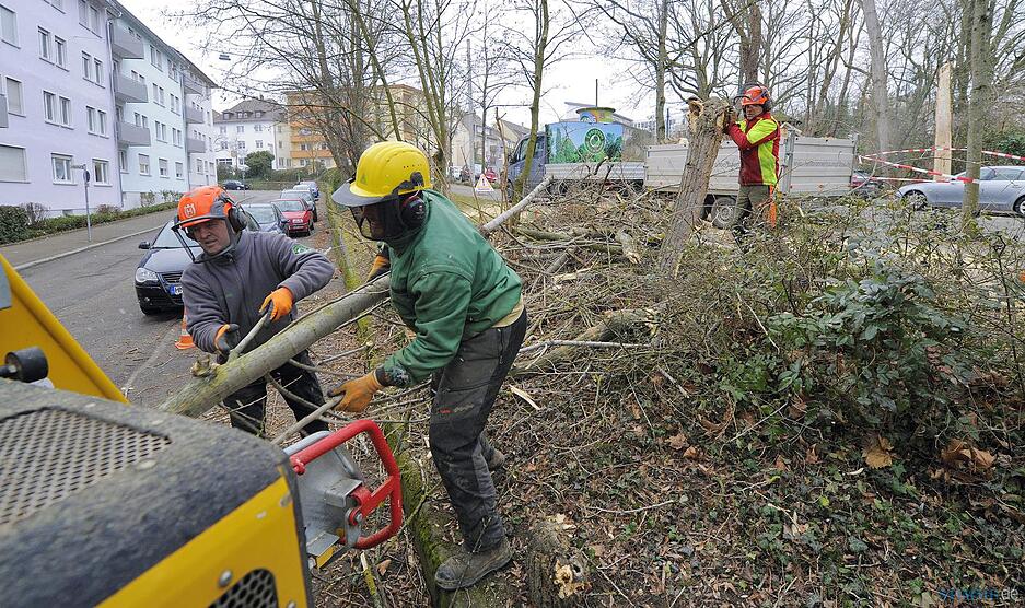 Sturmsch&auml;den in der Region