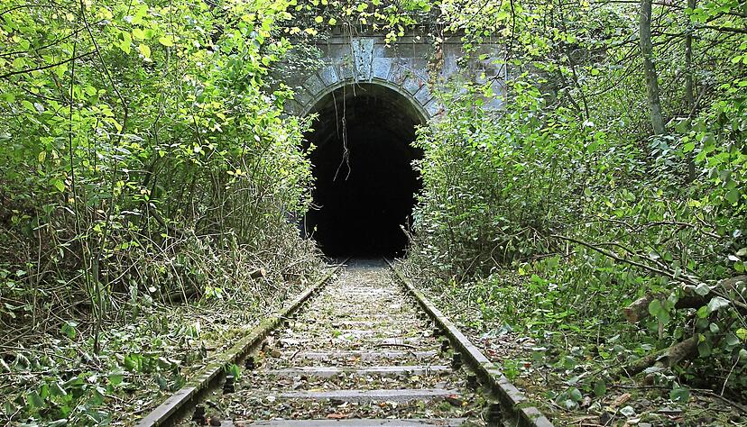 Im Dornröschenschlaf: Der Verein Lerchenbergtunnel will aus der stillgelegten Bahnstrecke einen Radweg machen.
Foto: Archiv/Andreas Veigel Im Dornröschenschlaf: Der Verein Lerchenbergtunnel will aus der stillgelegten Bahnstrecke einen Radweg machen.
Foto: Archiv/Andreas Veigel