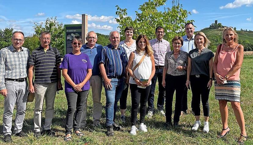 Ortstermin vor der Kulisse der Ravensburg: Staatssekretärin Sabine Kurtz (Vierte von rechts) beim Besuch des Streuobsterlebnispfads in Sulzfeld. Ortstermin vor der Kulisse der Ravensburg: Staatssekretärin Sabine Kurtz (Vierte von rechts) beim Besuch des Streuobsterlebnispfads in Sulzfeld.