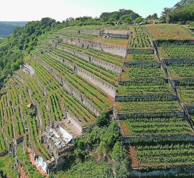 Neben der Stütze der Terrassen in den Steilweinbergen haben die Trockenmauern zusätzliche Funktionen: Sie strahlen gespeicherte Wärme ab, welche auch für die Reben wichtig ist.