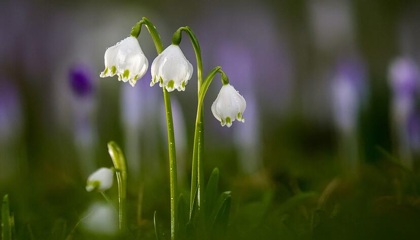Die Temperaturen bleiben mild.