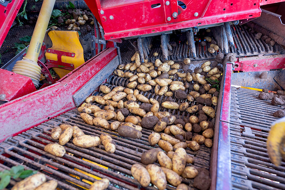 Die Arbeit ist personal- und zeitintensiv.
