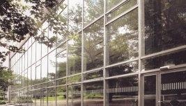 Rund eine Million Euro kostet die Erneuerung der Ostfassade der Harmonie. Damit sollen Zugluft beseitigt und die Energiekosten gesenkt werden.Foto: Dittmar Dirks