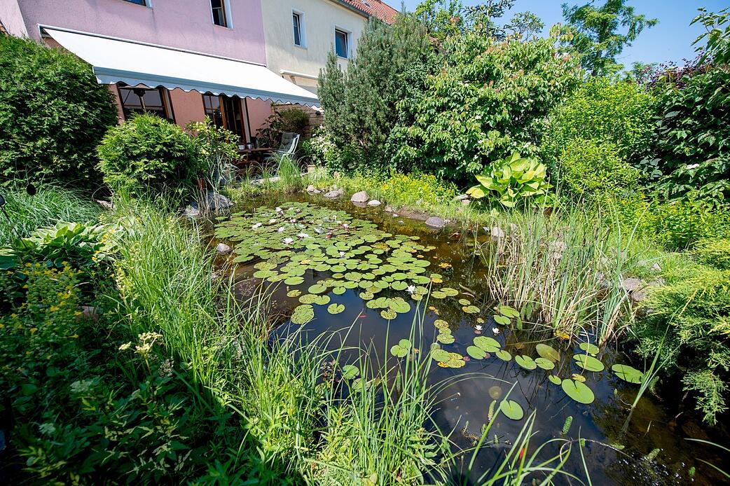 5 Tipps für den idealen Gartenteich STIMME.de