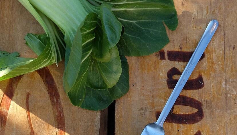 Bunt gemischt: Die Gnocchi werden mit Pak Choi, Cockteiltomaten und Kokosmilch zubereitet. Bunt gemischt: Die Gnocchi werden mit Pak Choi, Cockteiltomaten und Kokosmilch zubereitet.