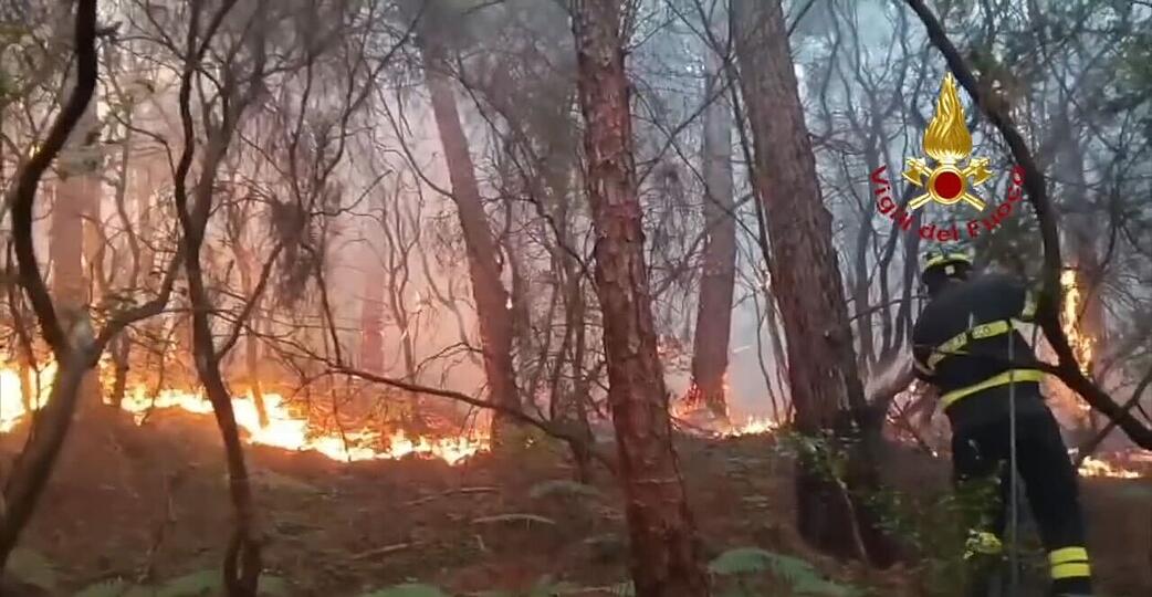 Wegen des Waldbrands mussten mehr als 3.500 Menschen ihre H&auml;user verlassen.