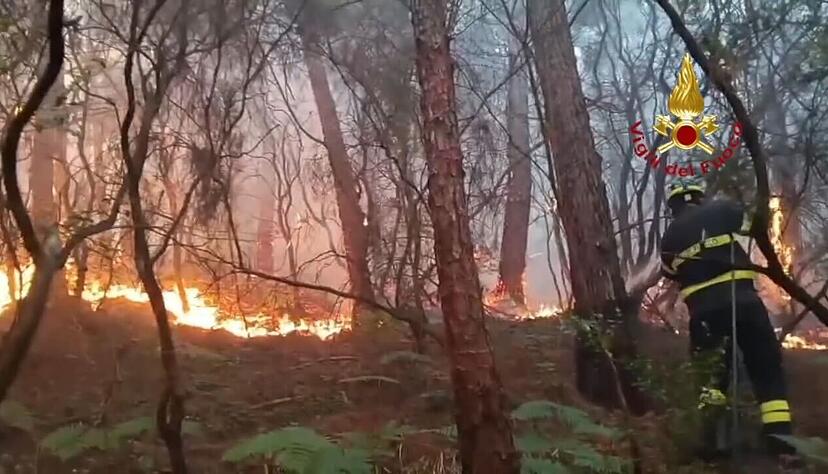Wegen des Waldbrands mussten mehr als 3.500 Menschen ihre H&auml;user verlassen.