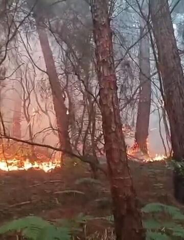 Wegen des Waldbrands mussten mehr als 3.500 Menschen ihre H&auml;user verlassen.