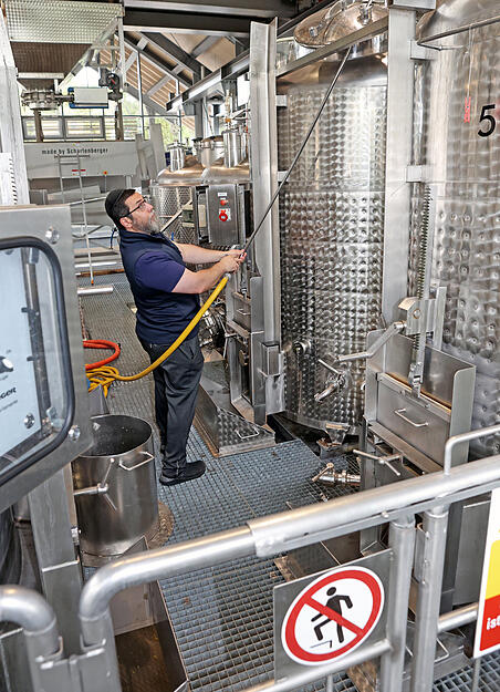 Traubenlese: Erster koscherer Württemberger Wein