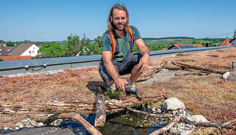 Stefan Fuchs auf dem Dach der Käthe-Kollwitz-Schule in Weiler. An der Wasserstelle können Vögel und Insekten ihren Durst stillen. Totholz, Steine und Sandlinsen dienen Insekten als Rückzugsort. Wildstauden sind eingesät.