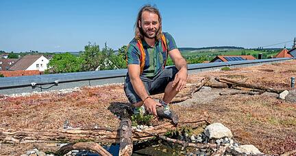 Stefan Fuchs auf dem Dach der Käthe-Kollwitz-Schule in Weiler. An der Wasserstelle können Vögel und Insekten ihren Durst stillen. Totholz, Steine und Sandlinsen dienen Insekten als Rückzugsort. Wildstauden sind eingesät.
Fotos: Christiana Kunz